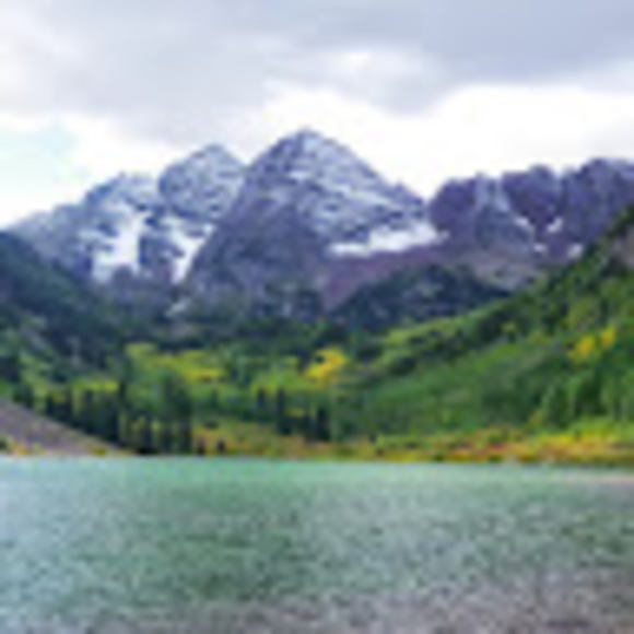 Meet your Posher, Lucy - Picture 1 of 1